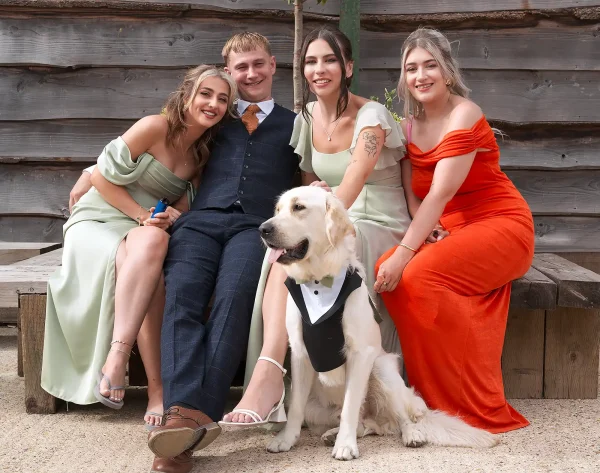 Dogs At Weddings